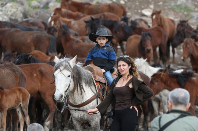 Yılkı atlarını fotoğraflamak için Türkiye’nin dört bir yanından geliyorlar